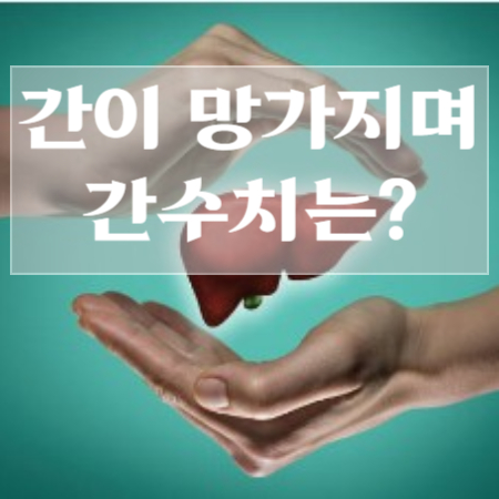 간수치-정상범위
