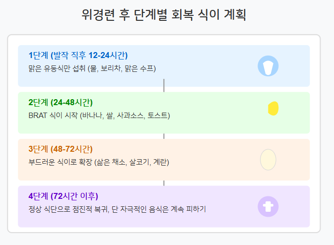 위경련 단계별 회복 식이 계획 시각화