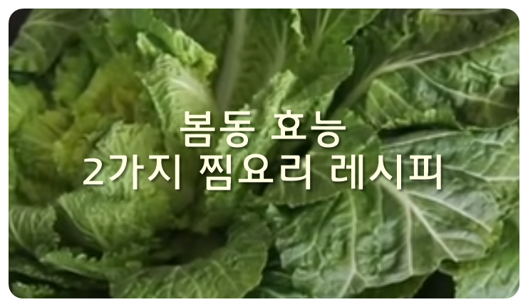 봄동 효능, 2가지 찜요리 레시피