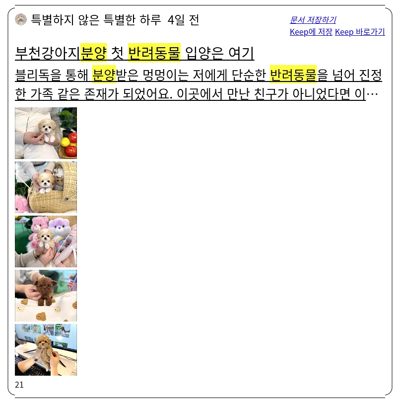반려동물 분양_2_subsection