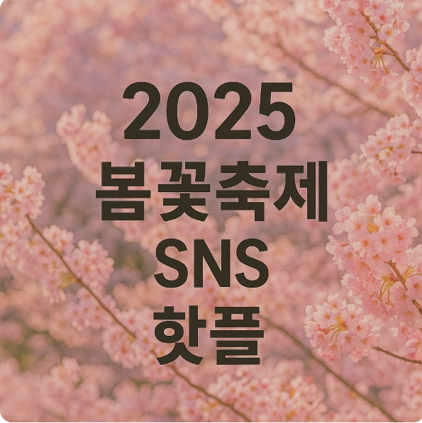 2025 봄꽃축제 SNS 핫플