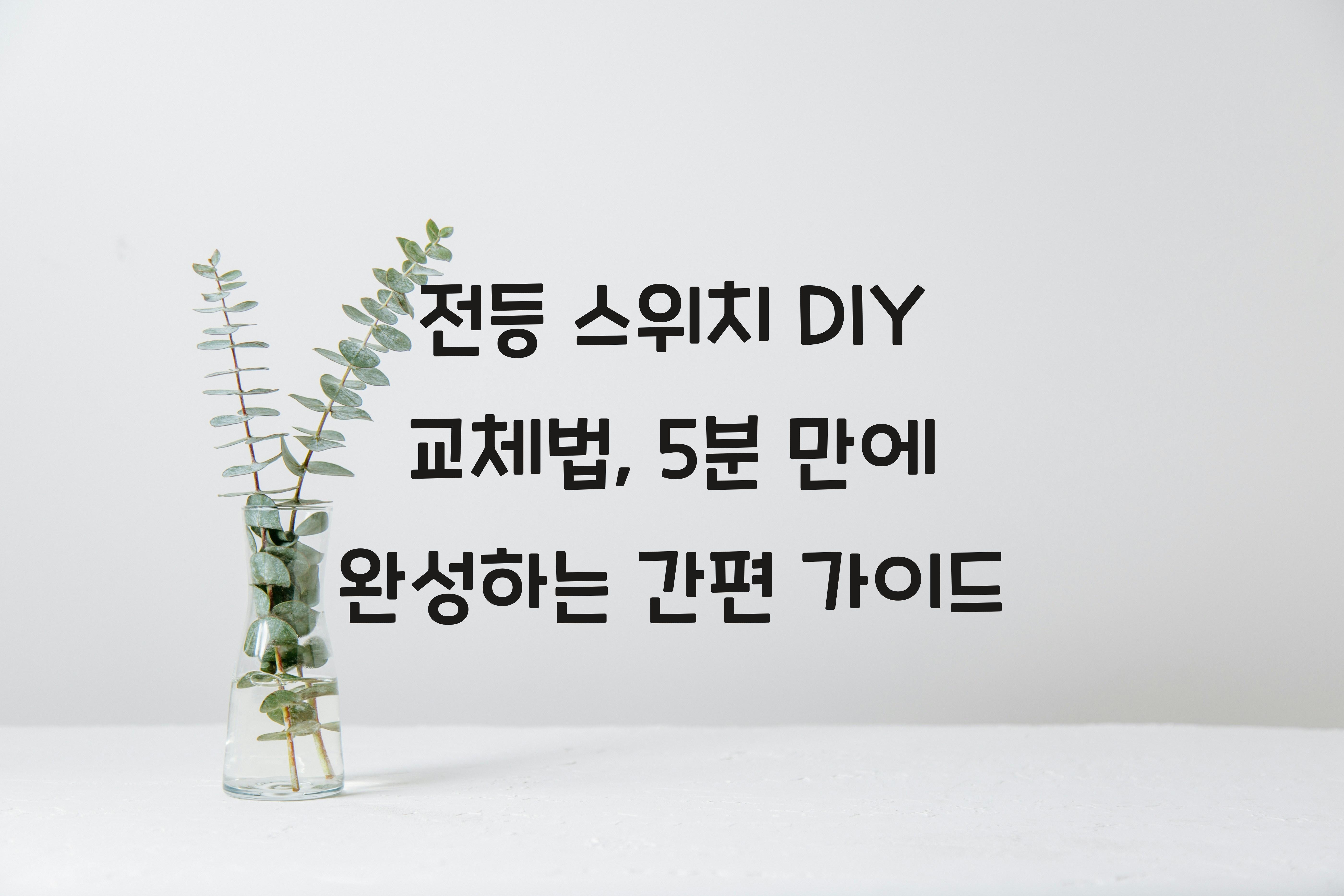 전등 스위치 DIY 교체법