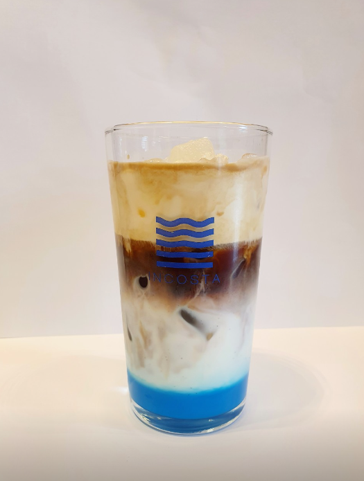 인코스타2