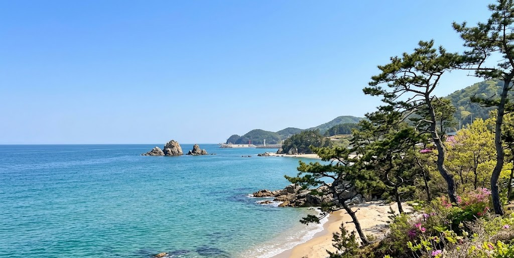 고성 평화생명축제 해산물 먹거리