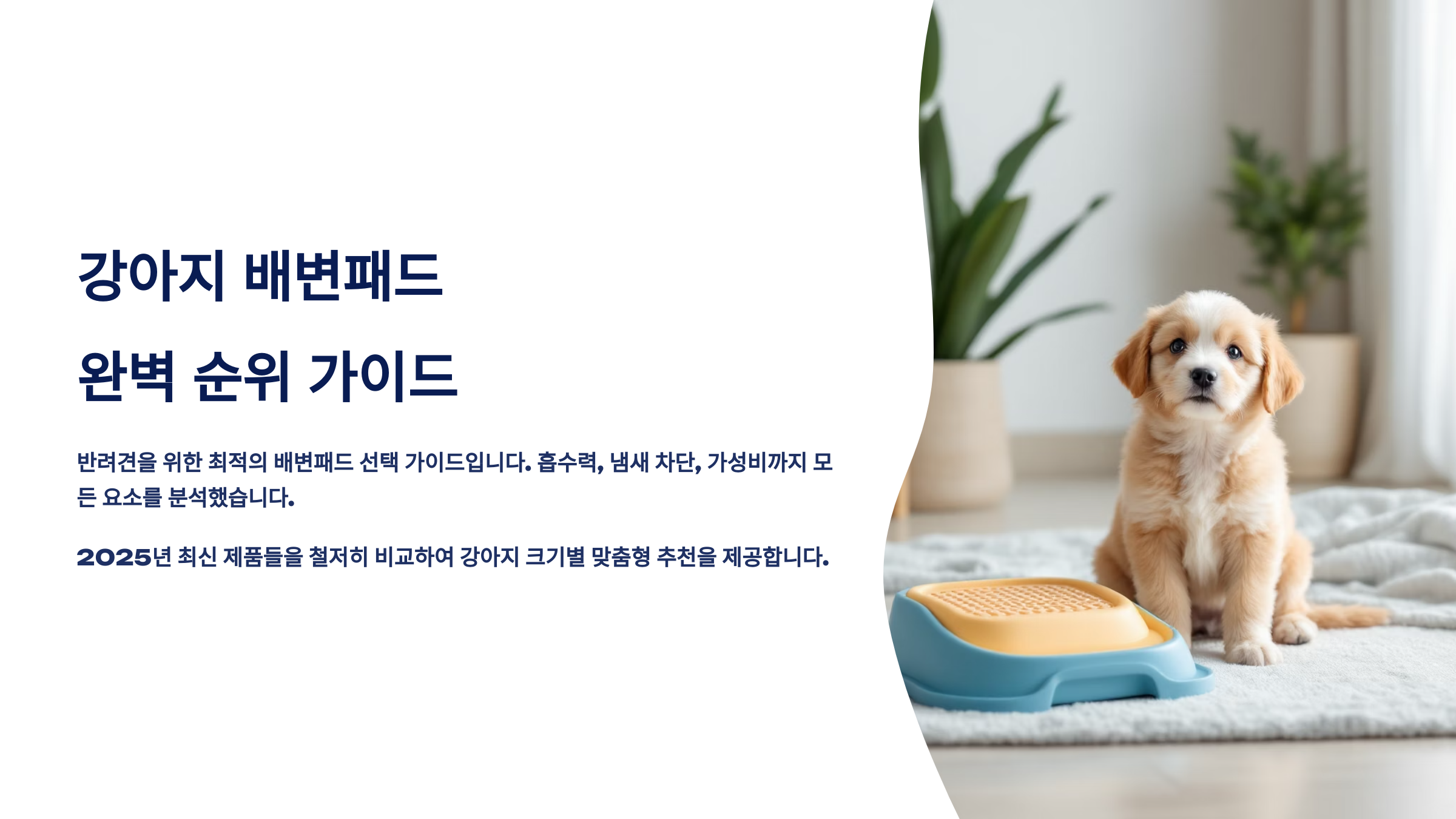 강아지 배변패드 완벽 순위 가이드 2025