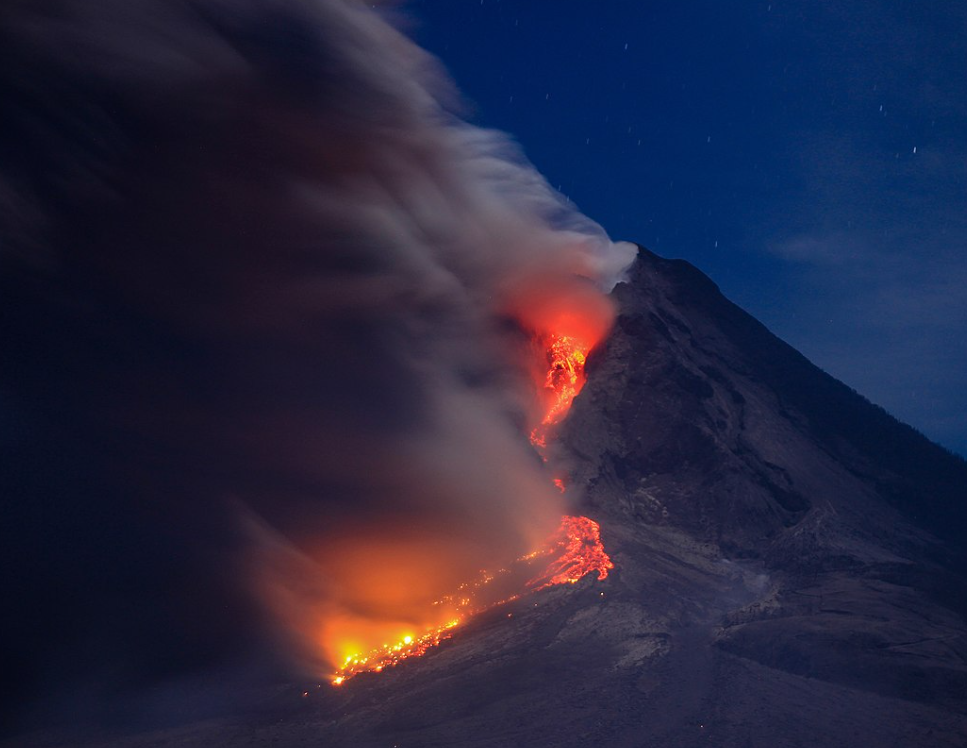시나붕산의 분화 사진