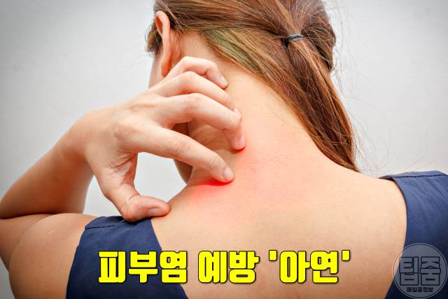 죽순 효능 죽순부작용 죽순영양성분 피부염 아연