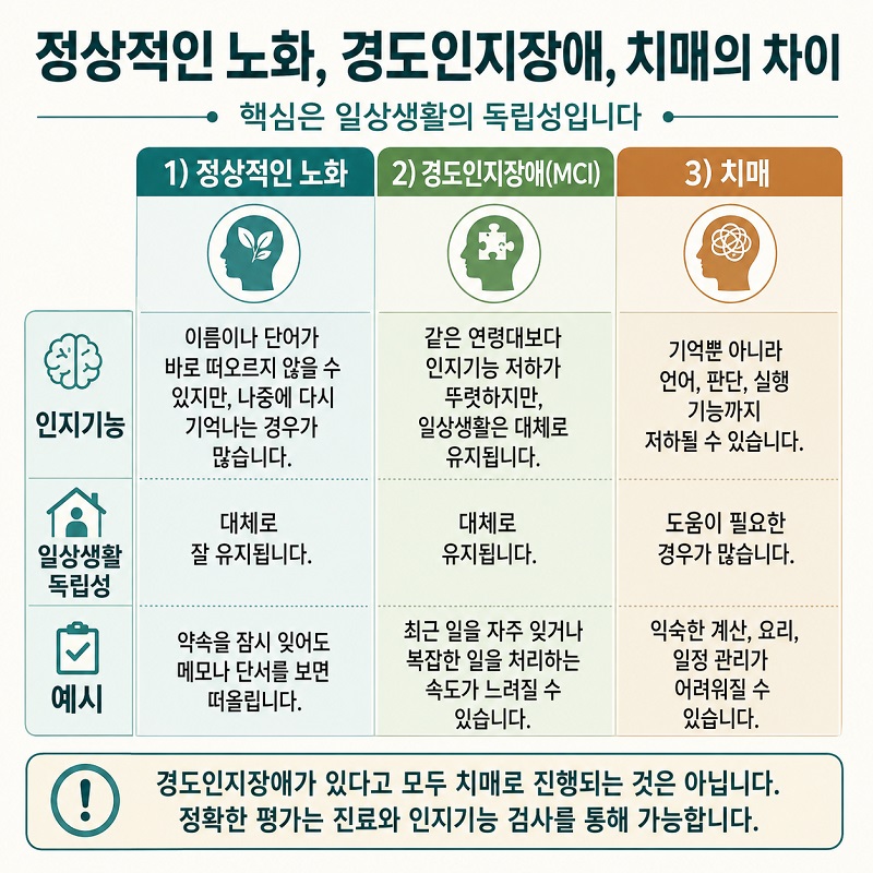 정상적인 노화와 경도인지장애, 치매의 차이를 일상생활 독립성을 중심으로 보여주는 인포그래픽
