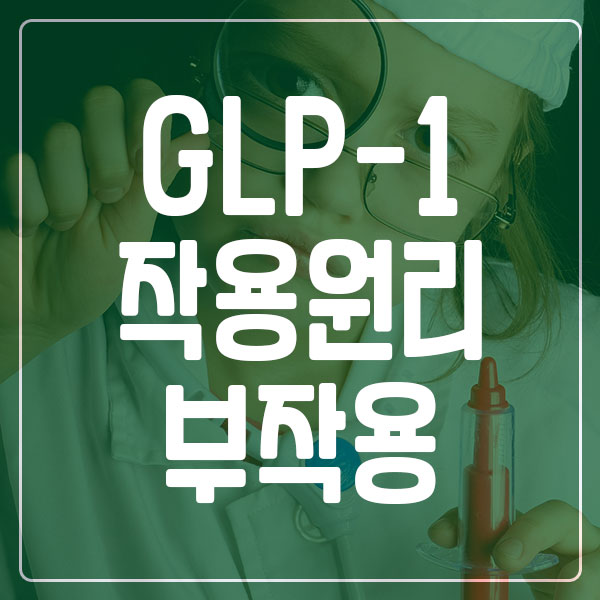 GLP-1 작용원리 및 부작용