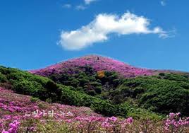 제 20회 일림산 철쭉문화행사 기본일정과 특징 소개