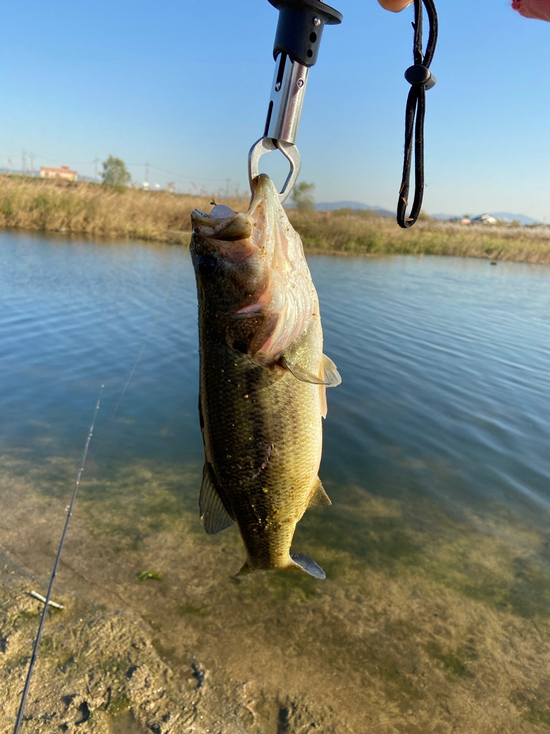 배스 낚시 사진
