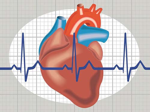 심장박동 그림