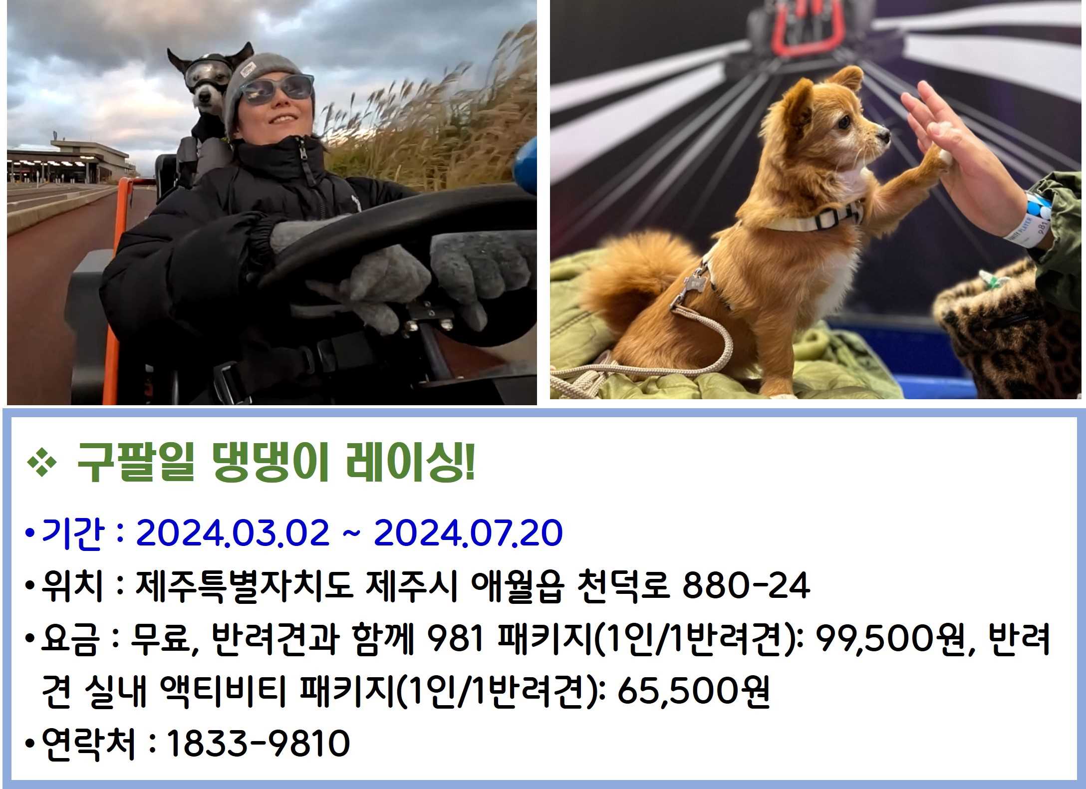 구팔일 댕댕이 레이싱