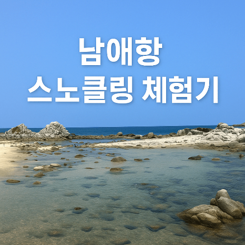 남애항에서 스노클링 체험기