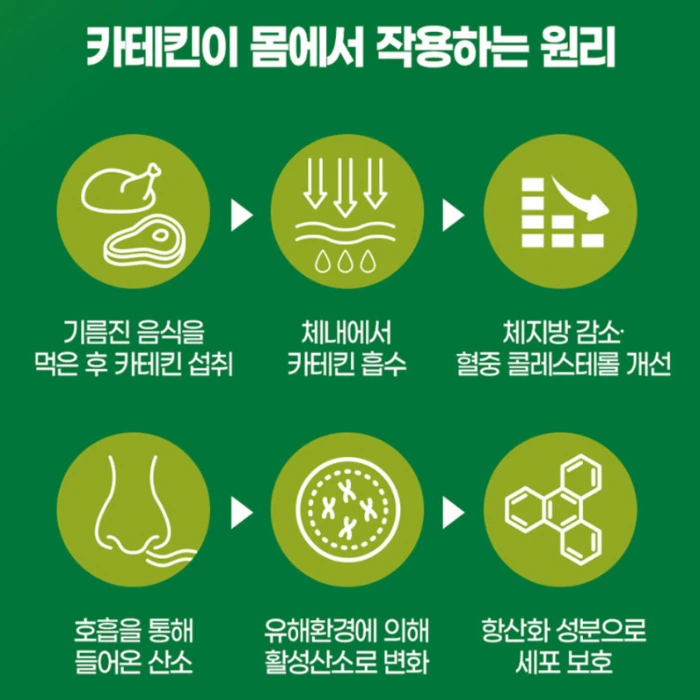 체다컷 내돈내산 후기 부작용 효능 복용법 가격 다이어트 효과