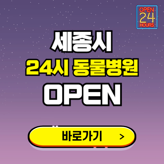 세종시 24시 동물병원 진료하는 곳 ❘ 설날 휴일 야간 심야 문여는곳 찾기 ❘ 응급진료