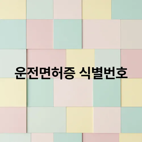 운전면허증 식별번호