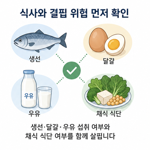 생선과 달걀, 우유와 채식 식단을 비교해 비타민 B12 섭취와 결핍 위험을 설명한 이미지