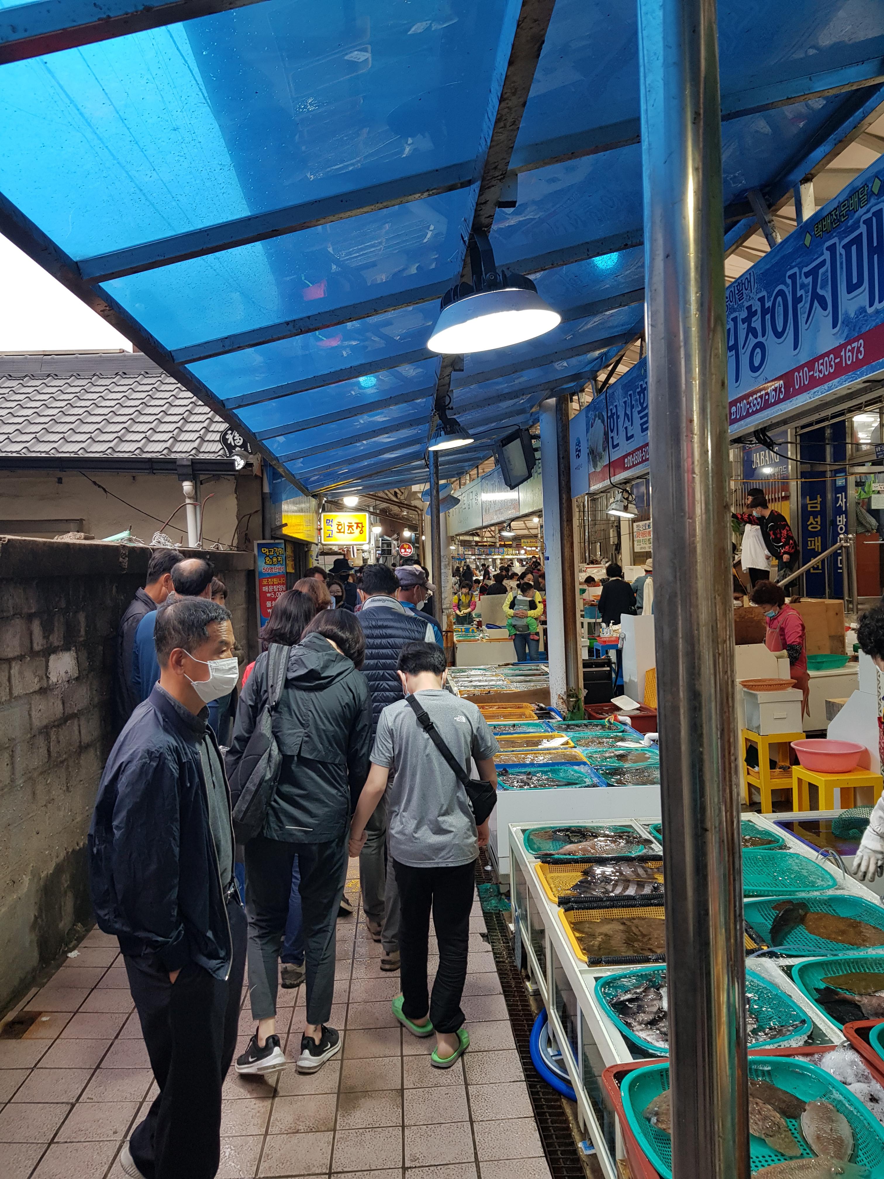 통영 수산시장2