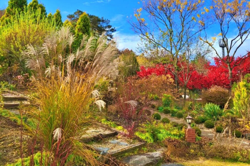 특색 있고 아름다운 민간 정원 30선 추천 여행 - 20. 괴산트리하우스 가든