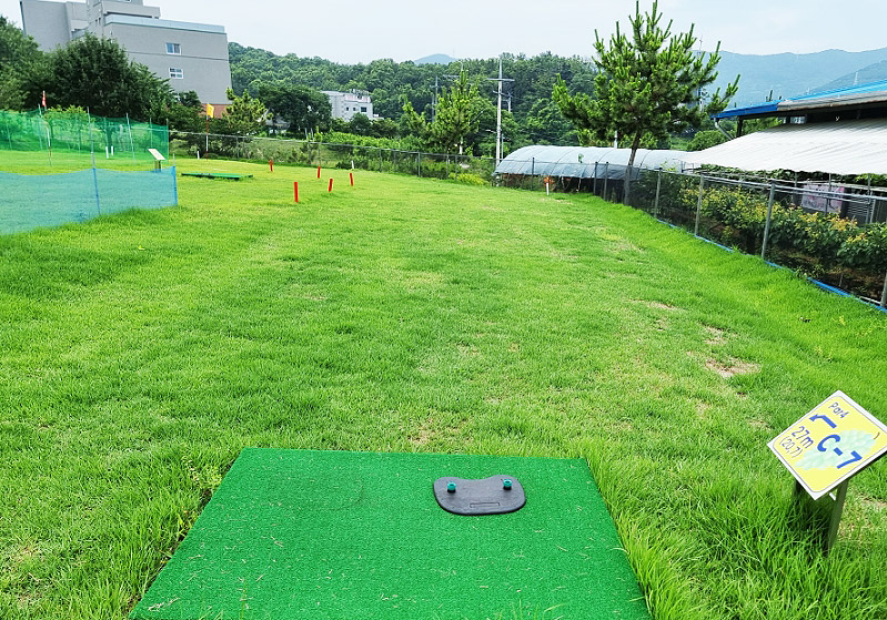 경상북도 경산 일월파크골프장 (일월 피닉스파크골프클럽) 소개