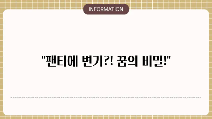 팬티에똥싸는꿈해몽 똥싸는부놭 영없다