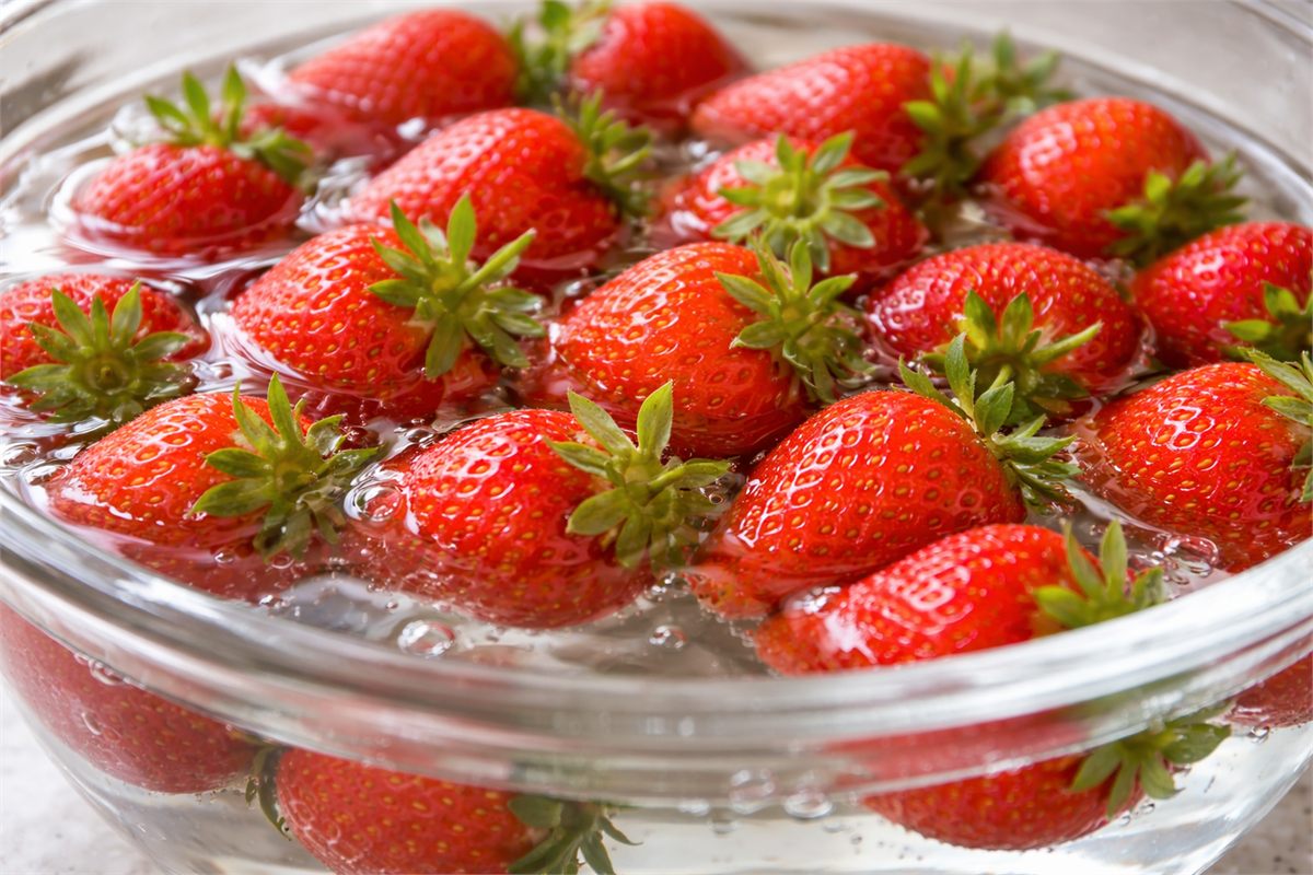 짧게 물에 담가 둔 딸기 표면 디테일 