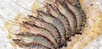 새우 요리 11가지 황금레시피_7