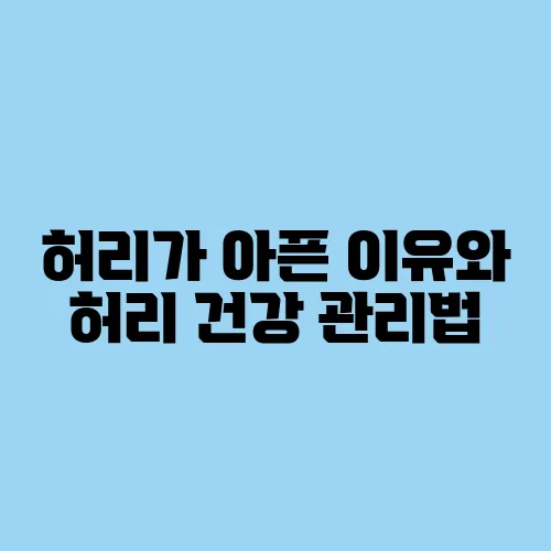 허리가 아픈 이유와 허리 건강 관리법