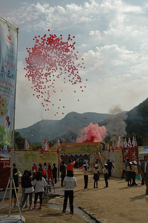 생방송투데이 문경사과축제 총정리｜2026 축제 일정&middot;장소&middot;주차&middot;감홍사과 가격&middot;사과따기 체험