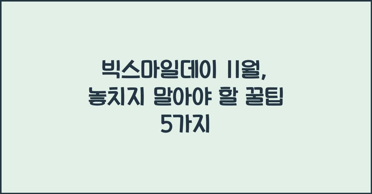 빅스마일데이 11월