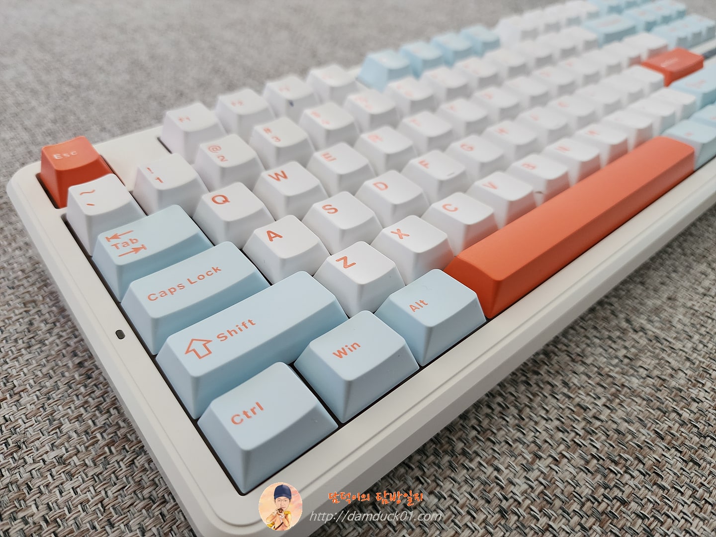 AULA F87 Pro 독거미 키보드
