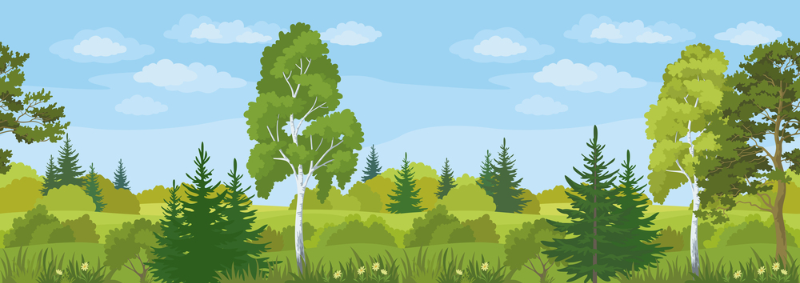 4.3 증산작용과 기공 개폐