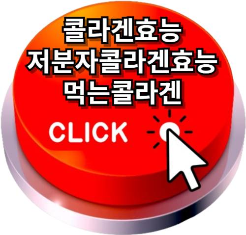 콜라겐효능, 저분자콜라겐효능, 먹는콜라겐