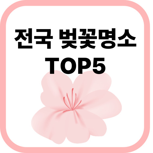 벚꽃