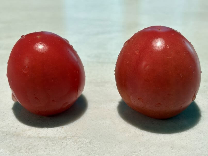 실키 핑크 토마토 맛