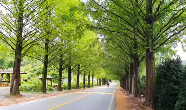 혼자만알고싶은여행지