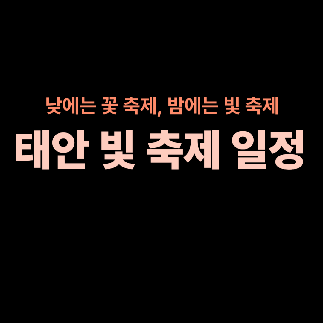 태안 빛 축제 일정, 주차/대중교통 정보 총정리