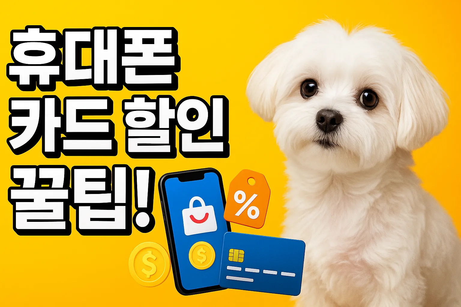 휴대폰 카드할인 꿀팁! 통신사 제휴카드로 0원 만들기