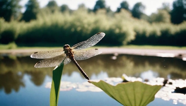 탄소중립포인트 가입 방법