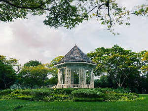 싱가포르 여행 추천 싱가포르 보타닉 가든