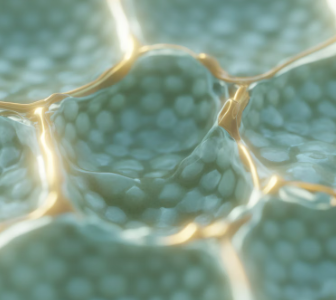 프로폴리스 효능