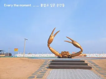 영덕 가볼만한곳 베스트10 바다 근처 인기 여행지 정리_16