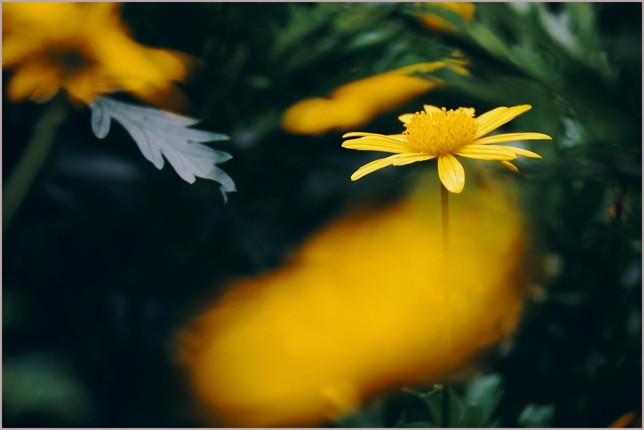 스타리아 가격표