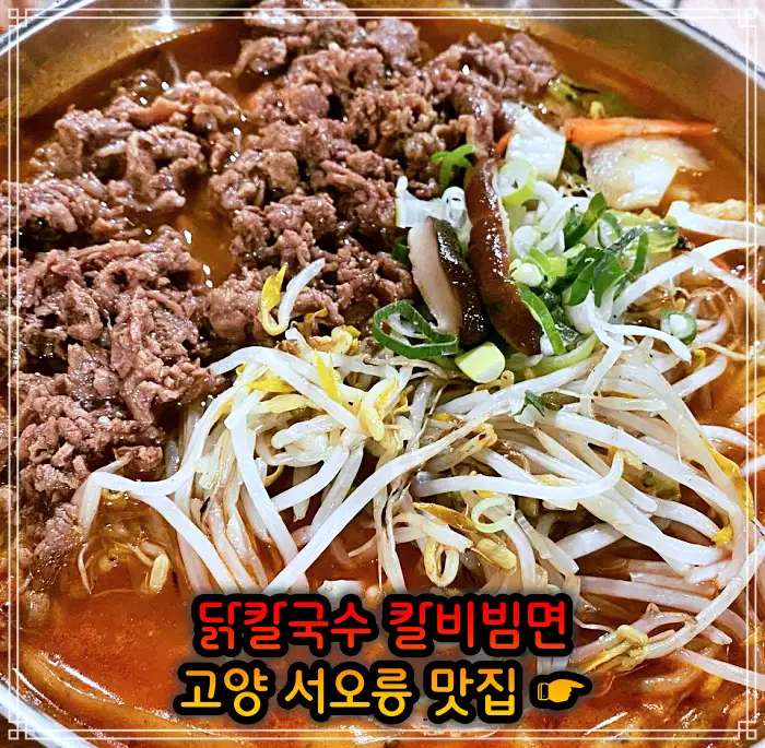 고양 서오릉 맛집 닭칼국수, 비빔칼국수