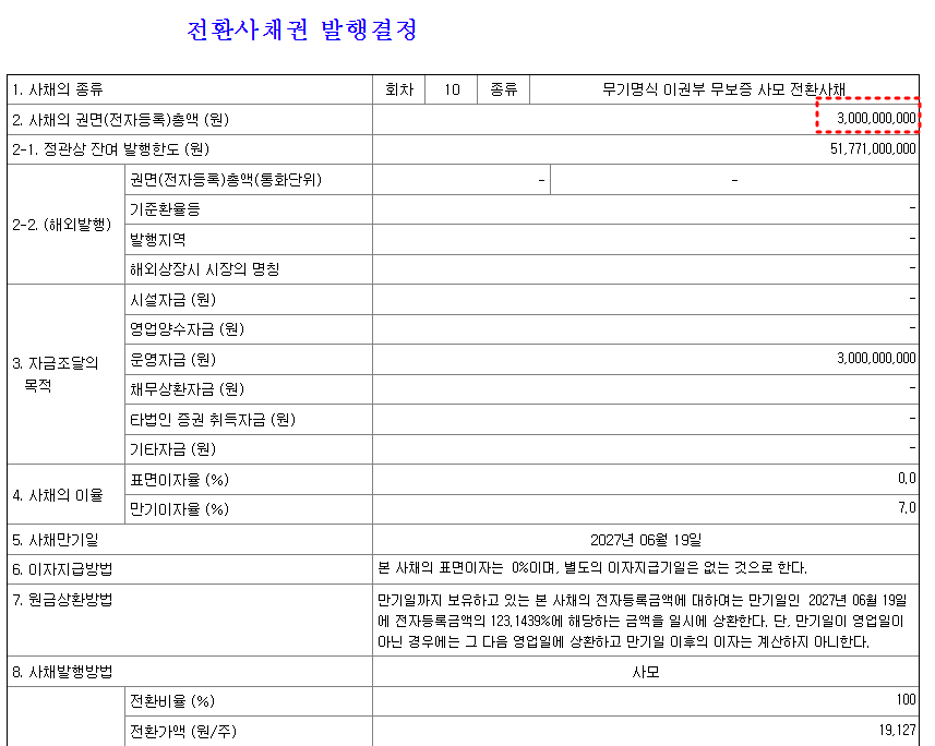 전환사채 발행