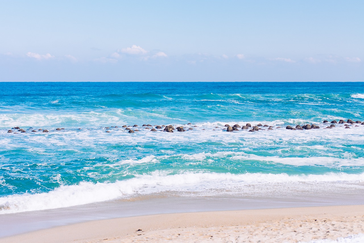 뚜벅이 여행자 필독! 강릉 핫스팟 총정리