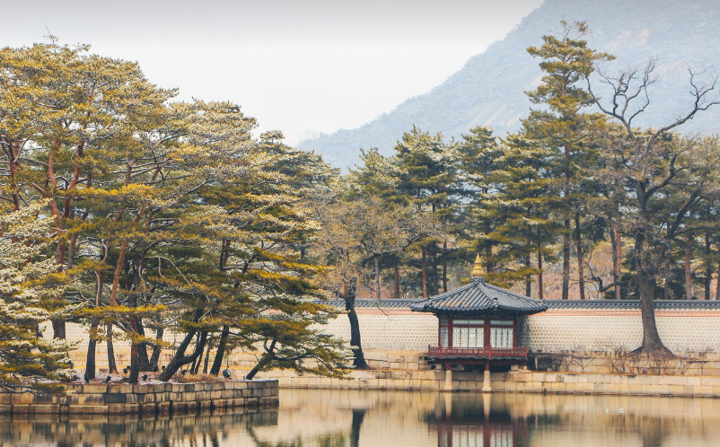 여행지 관련 사진