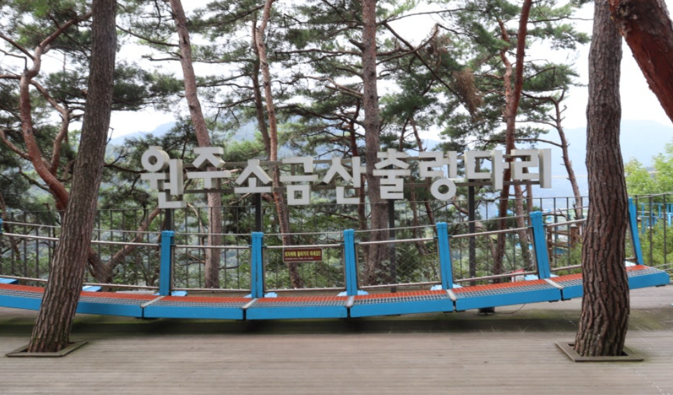 소금산 출렁다리 