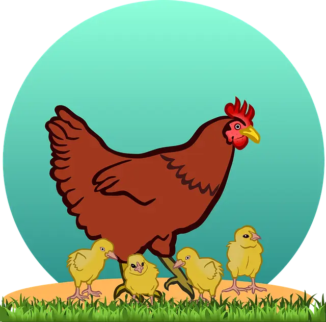 광주광역시 청년지원정책 25년 최신버전